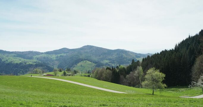 Zeller Bergland im südschwarzwald. Hügel und Berge von Gersbach bis zur Hohen Möhre vom Zimmerplatz am Fuße des Zeller Blauen