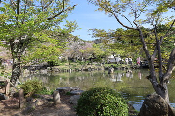 Fototapeta na wymiar A scene of Japanese parks : Maruyama-koen Park in Kyoto 日本の公園の風景：京都の円山公園