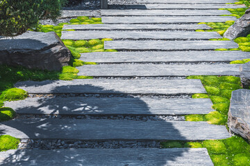 Path with wide stone slabs leads through a Japanese garden