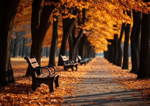Multiple park benches lined up next to each other in a row