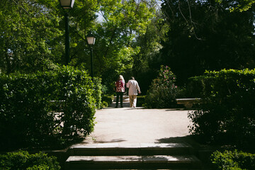A pathway, walkway, road in shadow of green trees in green park, garden. Nature in spring day. Faceless people back view on a walk Summertime parkland