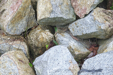 piles of mountain rocks and several broken tree branches