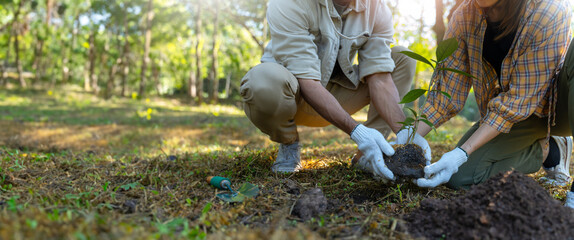 Group of volunteers plant trees to get clean ozone Watering trees in the park.Plant trees along the...