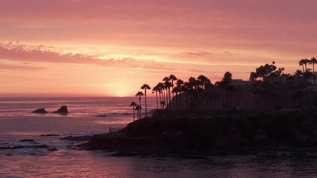 Aerial: Tropical Cove Lined With Silhouetted Palm Trees And Peaceful Ocean Waters. - Laguna Beach, California