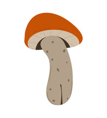 Forest Mushrooms, chanterelles and toadstools are depicted.