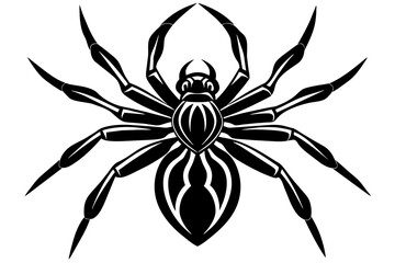 the spider silhouette vector illustration 