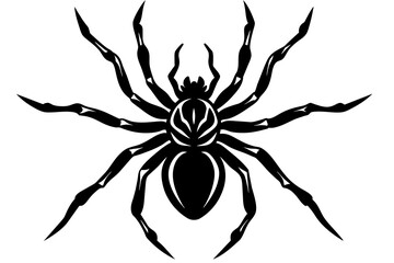 the spider silhouette vector illustration 