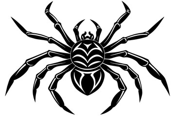 the spider silhouette vector illustration 