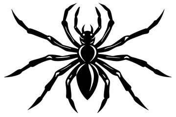 the spider silhouette vector illustration 