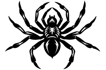 the spider silhouette vector illustration 
