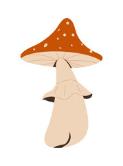 Forest Mushrooms, chanterelles and toadstools are depicted.