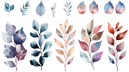 Collection of leaves watercolor cutout png isolated on white or transparent background
