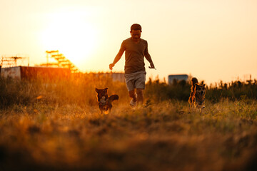 dog happy running and see  dog treats on his owner's hand during sunset. Pet and family concept.