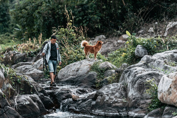 Hikers walk on rocks with dog in the stream flowing from the waterfall bact to his tent in hill.
