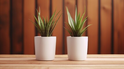 Two Potted Plants on Wooden Table