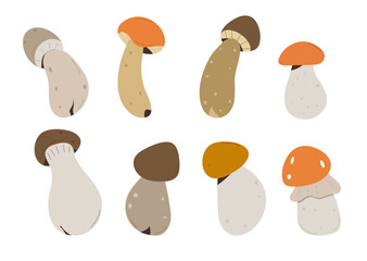 Forest Mushrooms, chanterelles and toadstools. Mushroom in hand drawing style set. - obrazy, fototapety, plakaty