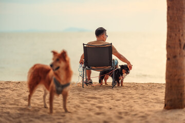 Dog owner sitting on a chair on the beach and see sunset.