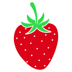strawberry fruit illustration