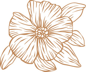 Vintage flower sketch line art - 785574008