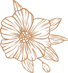 Vintage flower sketch line art - 785574022