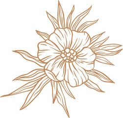 Vintage flower sketch line art - 785574056