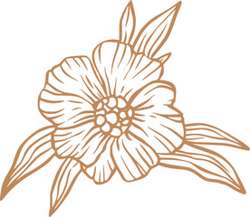 Vintage flower sketch line art - 785574063