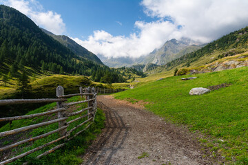 sentiero di montagna