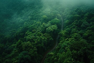Rain-soaked route through lush forests during monsoon season - Aerial view of scenic road amidst verdant greenery and tranquil rainfall. - obrazy, fototapety, plakaty