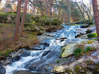 PINAR DE VALSAIN, SEGOVIA