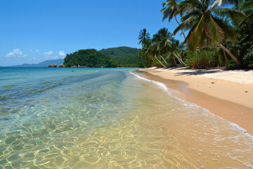 Deserted Tropical Beach With Palm Trees, Crystal Clear Water and Golden Sand