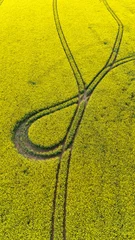  Champ de colza avec des traces géométriques au printemps vu de haut en drone en Normandie en France © Joachim Beauvilain