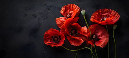 Stylized red poppy flowers on black background, symbol of remembrance and honor, suitable for Remembrance Day and Armistice Day commemorations.