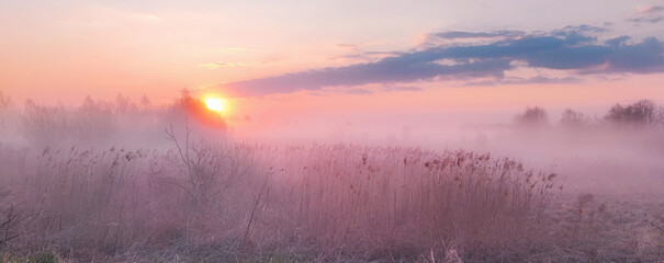 spring, spring morning, spring nature, sunrise in nature, foggy morning, dawn, Belovezhskaya Pushcha