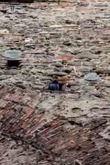 Pistoia, Tuscany, Italy