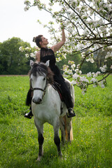 Pferd und Reiterin bei der Obstbaumblüte