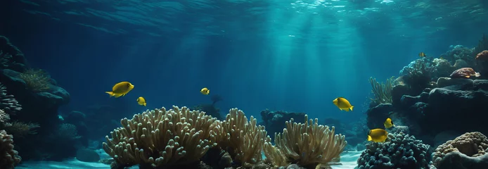 Foto op Plexiglas Under water ocean / landscape underwater world, scene blue idyll nature © lumerb