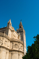 Fototapeta na wymiar Catedral de Sevilla, Andalusia, Spain, Europe