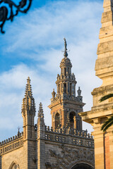 Fototapeta na wymiar La Giralda and Catedral de Sevilla, Andalusia, Spain, Europe