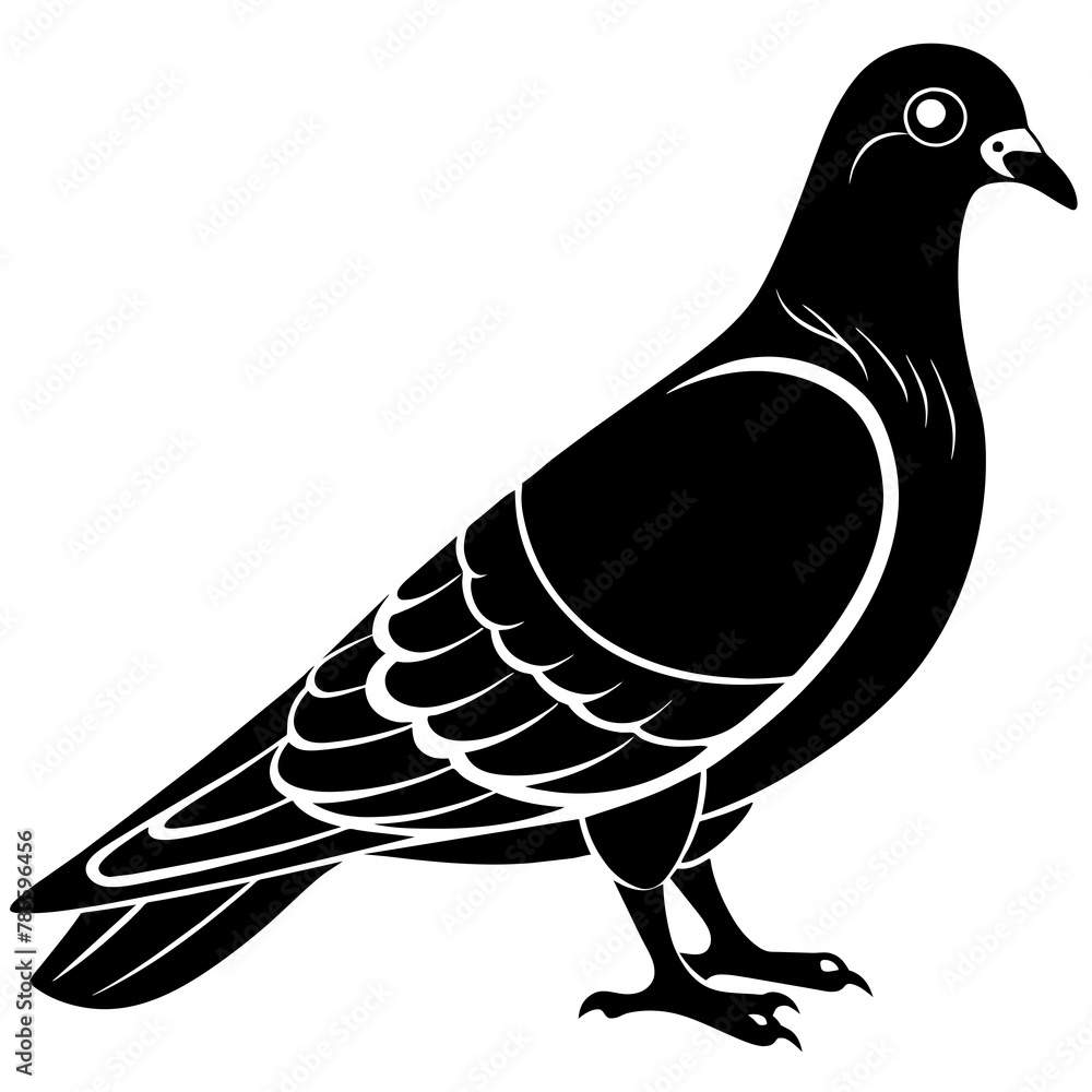 Poster illustration of a pigeon