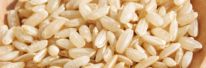 A background of dry brown rice grains showcases the integral, uncooked basmati texture. The macro...