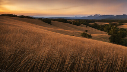 Fototapeta premium beautiful farm landscape