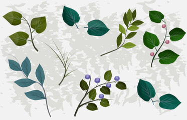 Set of watercolor plants: flowers, berries, branches and different leaves, green. Idea for summer advertising design, banner. Vector illustration isolated on white background.