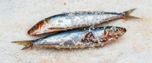 Whole raw organic mackerel fish with sea salt lying on a flat white surface - 785601038