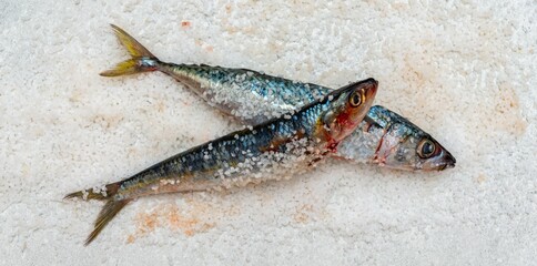 Whole raw organic mackerel fish with sea salt lying on a flat white surface - 785601463