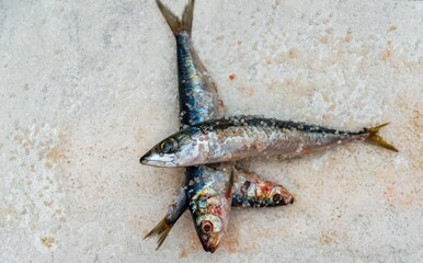 Whole raw organic mackerel fish with sea salt lying on a flat white surface - 785601654