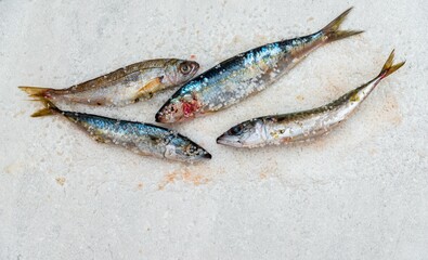 Whole raw organic mackerel fish with sea salt lying on a flat white surface - 785601676