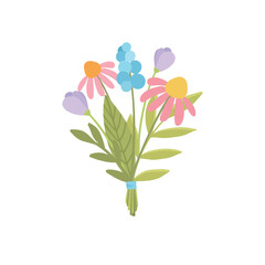 Spring field flower. Meadow floral branch, stem. Blooming blossomed plant. Fragile delicate gentle herb, simple wildflower. Botanical natural flat vector illustration isolated on white