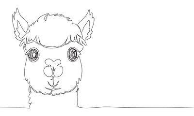 Obraz premium Alpaca one line continuous. Line art Alpaca. Hand drawn vector art.