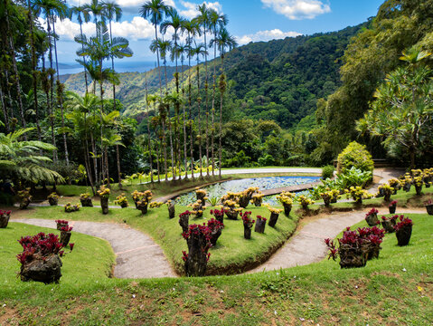 Jardin de balata