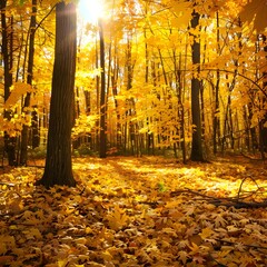 Autumn Splendor - Vibrant Forest with Orange Leaves and Yellow Maple Trees in Bright Sunlight - Nature's Beauty